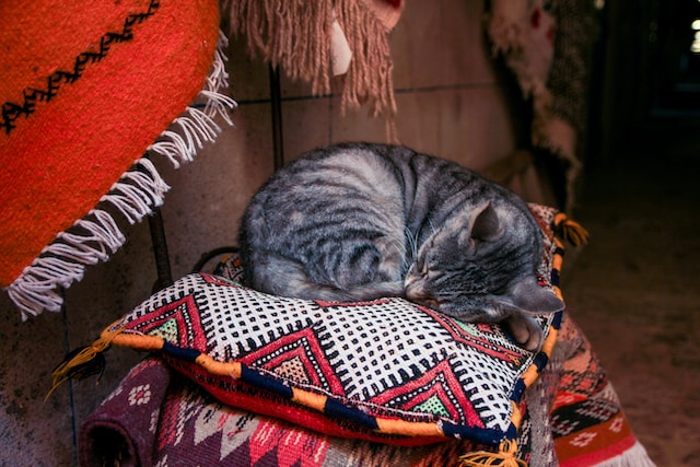 Traditional Native American rugs